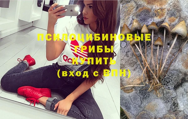 прущие крисы Магадан