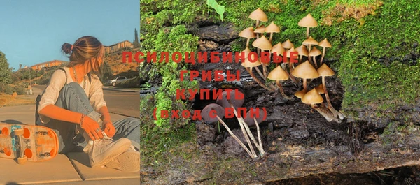 прущие крисы Магадан